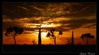 Il tramonto...