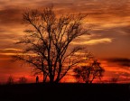 tramonto al Parco Nord