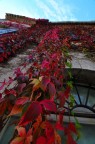 autunno autunno