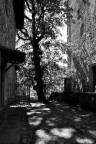 commenti e critiche sono graditi grazie a tutti