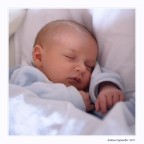 Il sonno dei giusti
