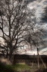 cielo plumbeo II