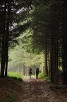 Verso la luce