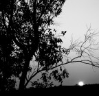 Sun on the soft