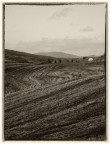 Semplici colline