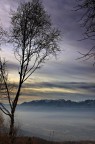 Nebbia e colori