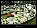 Vita sull'Acqua