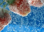 Summer Fruit - 01