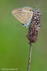 Canon 7D - Sigma 180 mm - f/14 - 1/10 - ISO 400