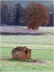 mattinata di inizio gennaio, con un po' di brina