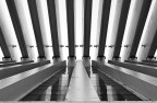linee high-key
