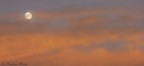 canon eos 550d sigma 120/400 120mm f/8 1/200 iso800