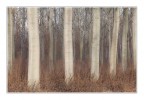 White Trees