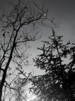 1/640
f/11
iso 200