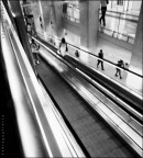 people walking