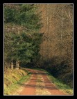 Strada polverosa