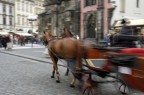 Praga, Dicembre 2005