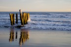 ISO 100
mm 37
F/5,0
sec 1/125
Spiaggia di Le Saint Marie de la Mre, Camargue, tramonto del 31/12/2011. 
Aspetto le vostre critiche. Grazie