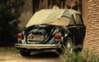 beetle 1