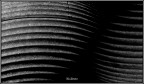 curve