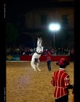 Cavallo Andaluso