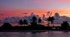 Pink sunset