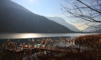 tv:1/2500-av:3.5-iso:100-distanza focale:20mm