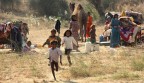 India 7