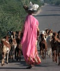 India 15