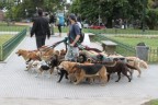 Foto scattata a Buenos Aires.