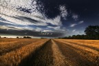 strada che vorrei  :)