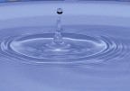 Splash