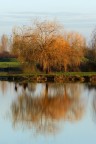 Riflesso