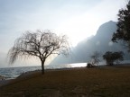 Il lago d'inverno