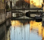 Riflessi in giallo