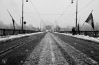 f8
1/250
iso 250
13mm
