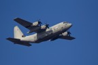 f 6,3    1/1250

iso 200   70-300@300