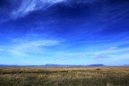 Serengeti