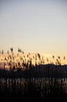 canneto in siluette in un tramonto leggero