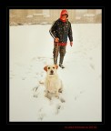 Oggi Shiba...  felice