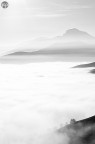 High Key Landscape