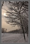 sole - freddo