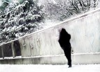 lungo il muro