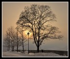 ...lampione solare innevato...