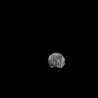 Dietro questo scatto non c' un vero e proprio progetto, ma una bella luna che continuava a sfuggire e che ho in qualche modo intrappolato tra gli alberi su una collina...