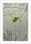 Un cuore in inverno