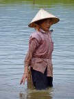 Una donna vietnamita intenta a raccogliere granchi, Mai Chau, Vietnam
f/4
1/200 s
ISO 80
Panasonic lumix fz38
Mano libera