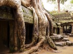 Tempio di Ta Prom, Cambogia
f/2,8
1/10 s
ISO 80
Panasonic fz38
Mano libera