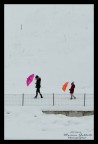 Colors in the snow