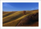Dolci Colline